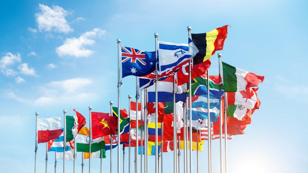 A line of national flags in front of a sunny sky