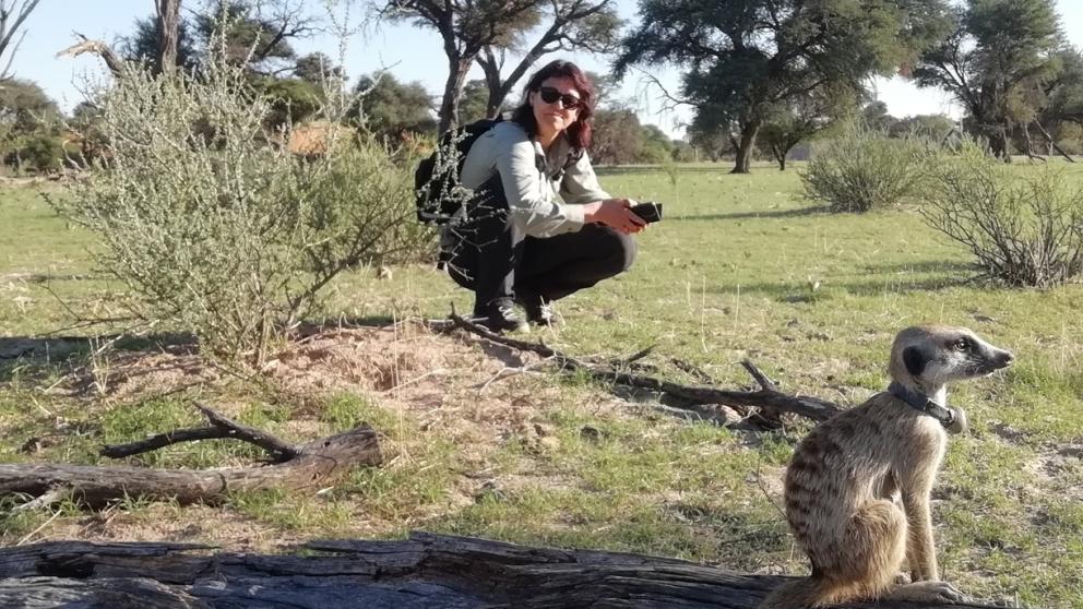 Dr. Nadine Müller-Klein observing a meercat in the field