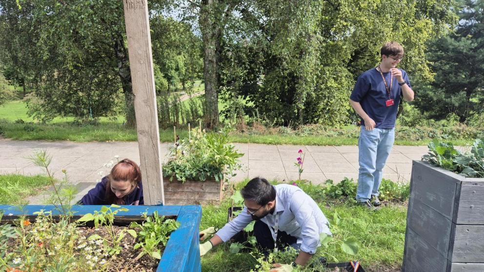 People painting the planters in the Community Growing Space.