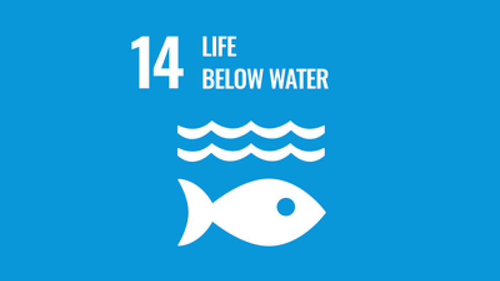Illustration representing a fish in water with text stating number 14 life below water