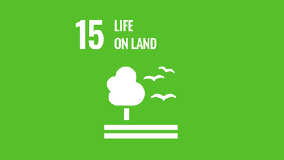 Illustration representing a tree and birds with text stating number 15 life on land