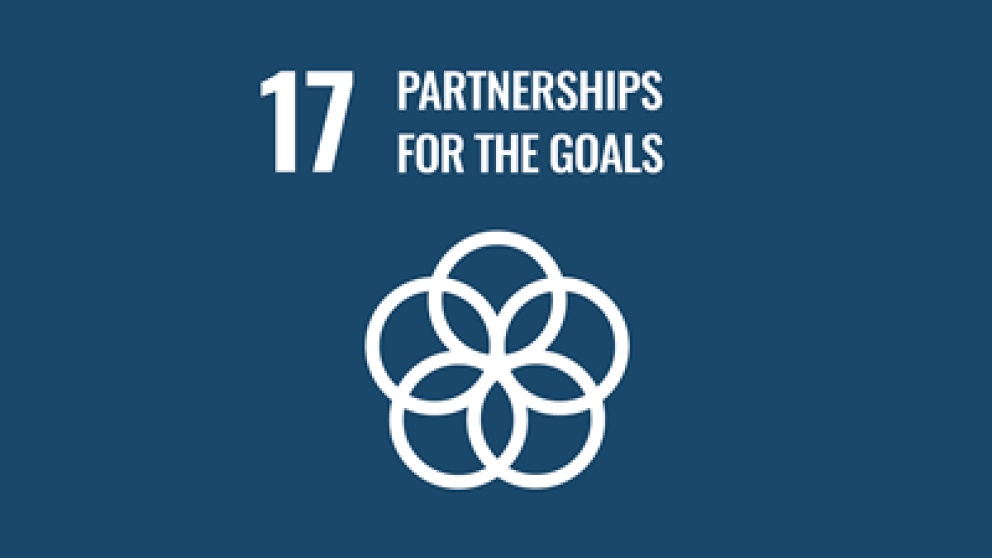 Illustration representing intertwined loops with text stating number 17 partnerships for the goals