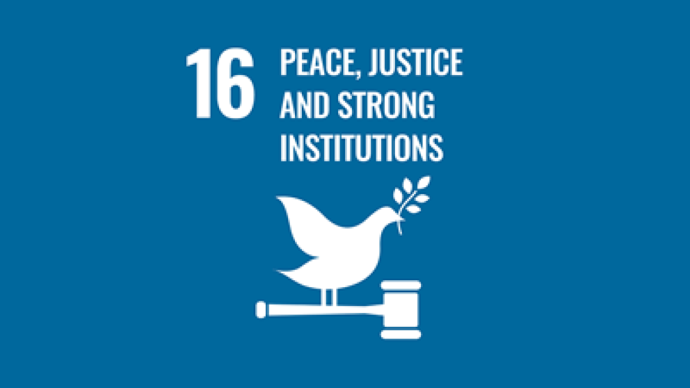 Illustration representing a dove on gavel with text stating number 16 peace, justice and strong institutions