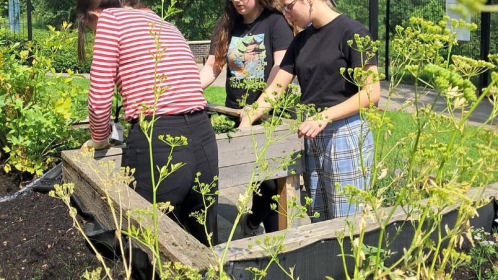 Three people digging into a planter at the Community Growing Space on a sunny day.