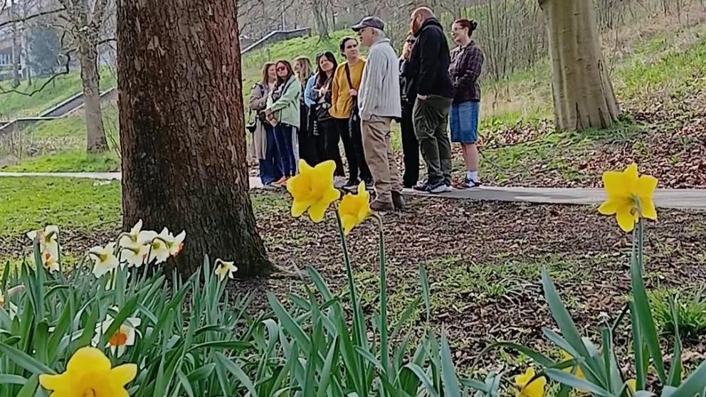 People stood in Peel Park observing the nature with daffodils in the foreground.