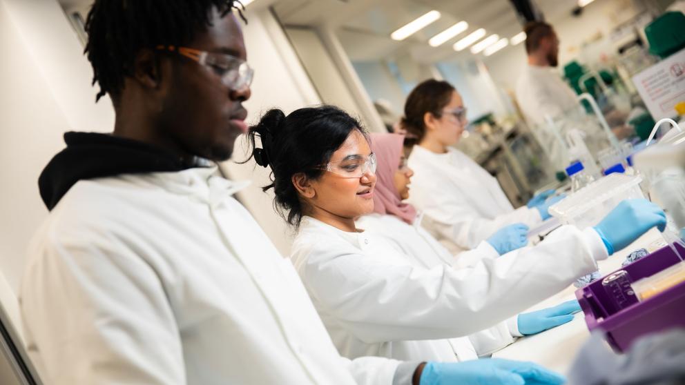 students doing an experiment in a science lab