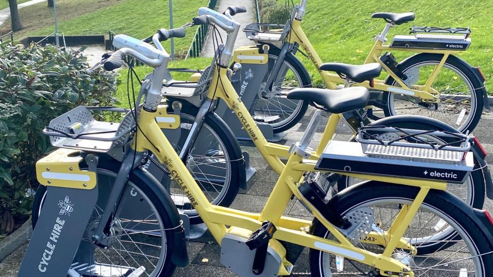 A picture of bicycles on Campus