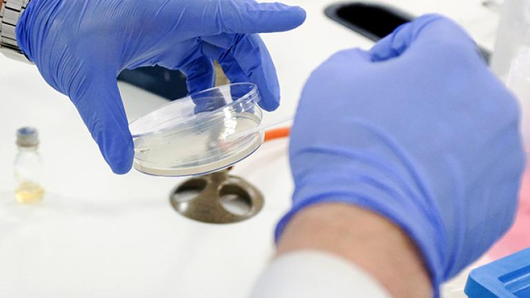 Chemistry student with gloved hands working on an experiment