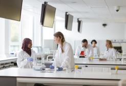 Biochemistry students in the laboratory
