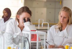 Students working in the Bodmer Laboratory