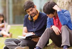 Two students reading a book underneath a tree