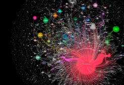 Constellation of Joe Wicks