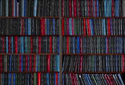 Books on multiple shelves