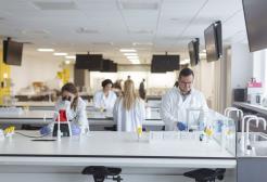 Facilities - Bodmer Lab - 1