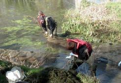 Environment students 