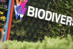 Green wall on Cockcroft Building with Biodiversity lettering