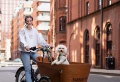 Harrie Larrington-Spencer, a researcher and active travel advocate riding a Babboe e-cargo trike with a small white poodle in the wooden front box