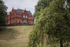 An image of the Peel Building framed by trees.