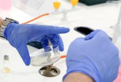 Chemistry student with gloved hands working on an experiment