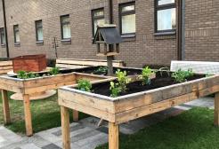 community green space pic