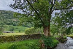 Cumbrian river restoration