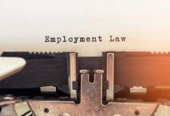 The words 'Employment Law' typed on a vintage typewriter