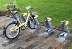 Bee Network Bikes