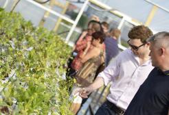 Group of people visiting a plant nursery