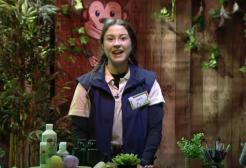 Sarah Baker on a television set that resembles a zoo