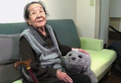 Elderly person with an AI robot teddy