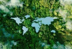 Aerial view of a forested area with lakes in the shape of a world map