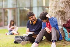 Two students reading a book underneath a tree