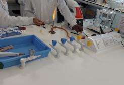 In2STEM Summer School