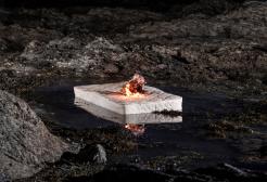 Photograph from Firehawks exhibition at Open Eye Gallery