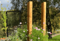 wooden posts reading community garden and surrounded by cosmos flowers, peel park in the background