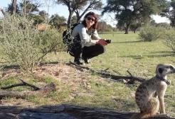 Dr. Nadine Müller-Klein observing a meercat in the field