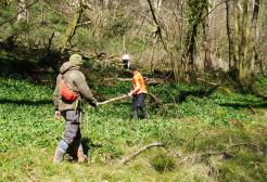 Young people in Plymouth's poole farm