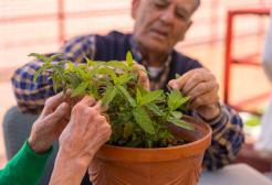 Two elderly people tend a plant in a pot