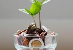 Jar of coins with a plant growing in the middle