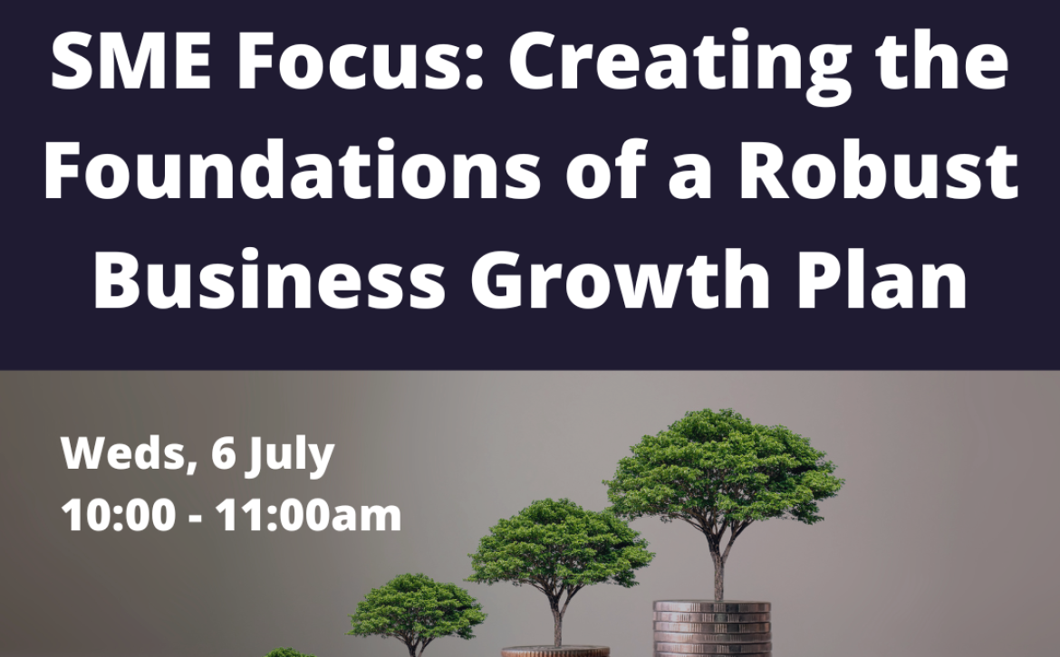 Taster Session - SME Focus: Creating the Foundations of a Robust Business Growth Plan