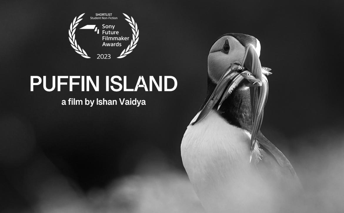  Image shows the shortlisted poster for Puffin Island