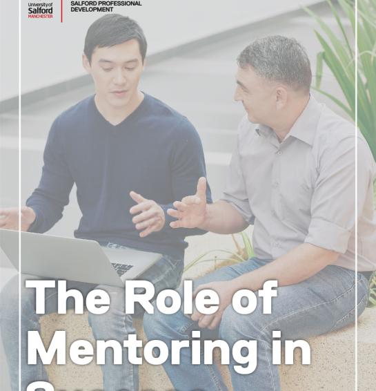 The Role of Mentoring in Success
