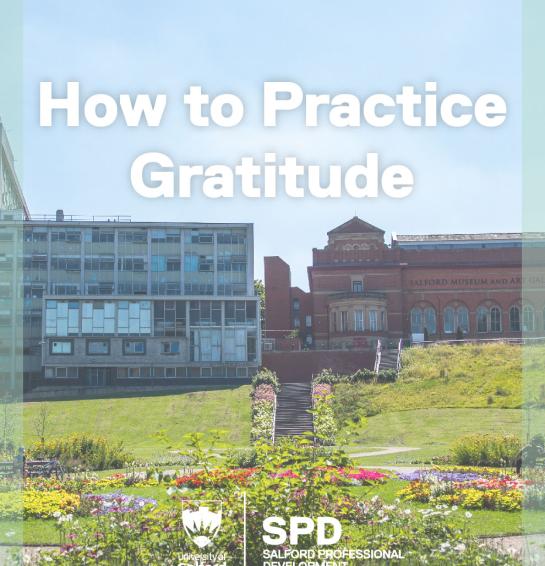 How to practice gratitude blog