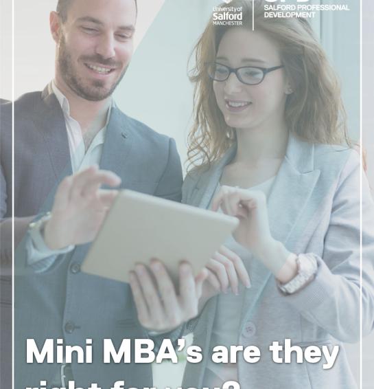 Mini MBAs