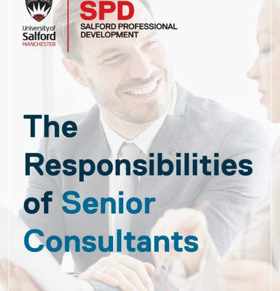 The Responsibilities of Senior Consultants Picture